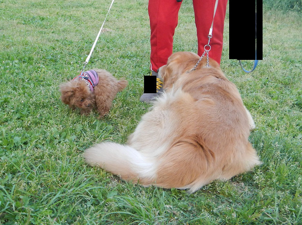 GuNbNv
 ŁwÕy[Wx ɖ߂܂B